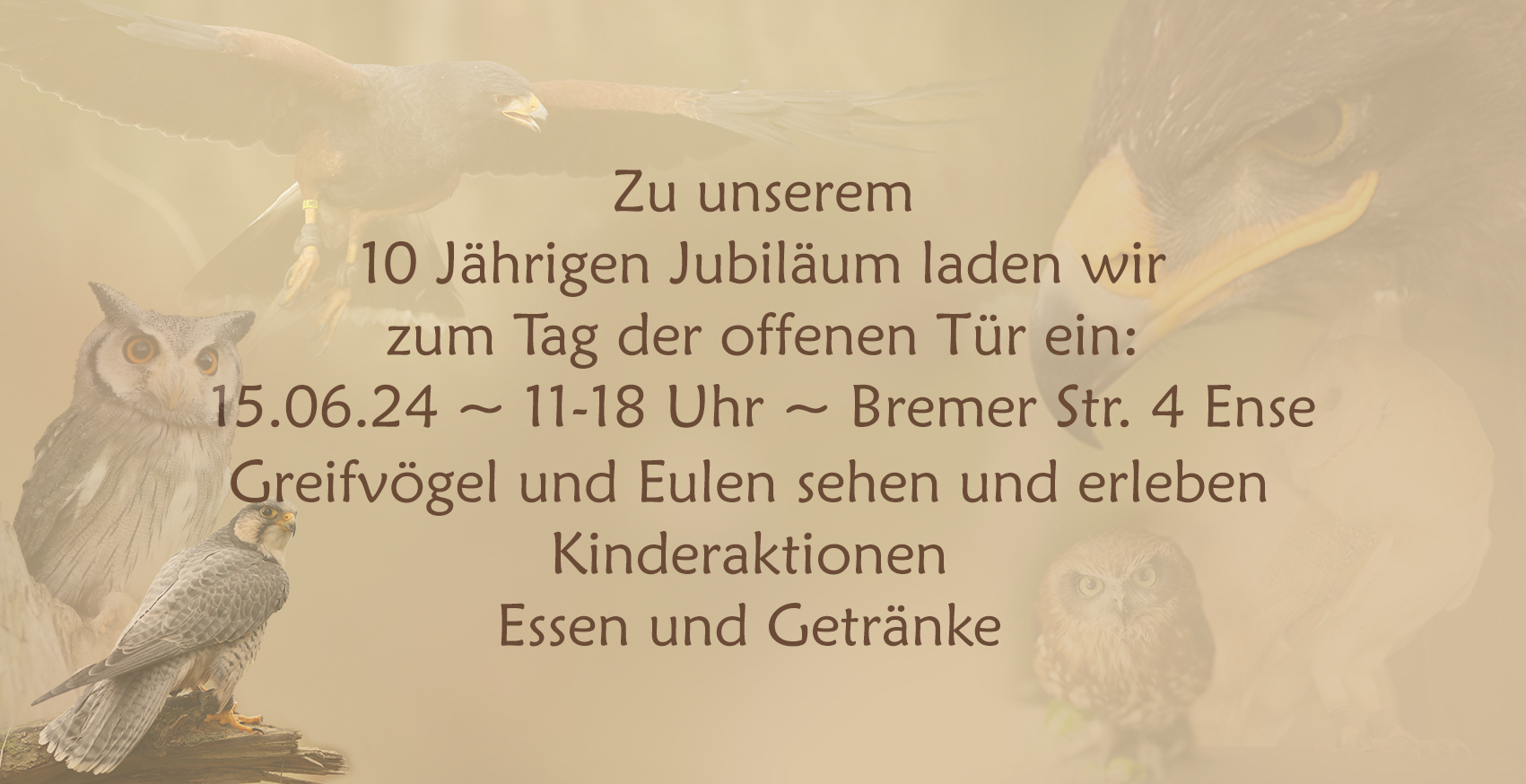 Jubiläum Vorschaubild