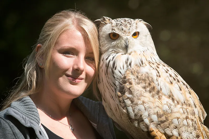 Eulenkuscheln im Februar Hauptbild: