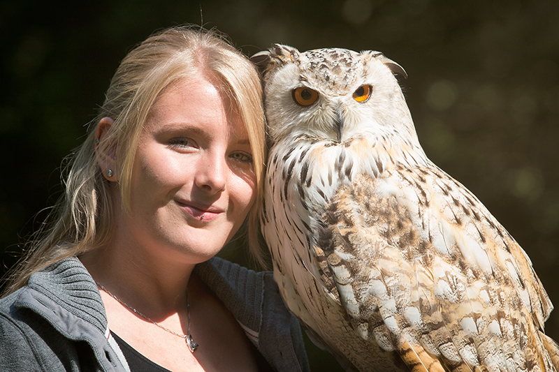 Eulenkuscheln im Februar Vorschaubild